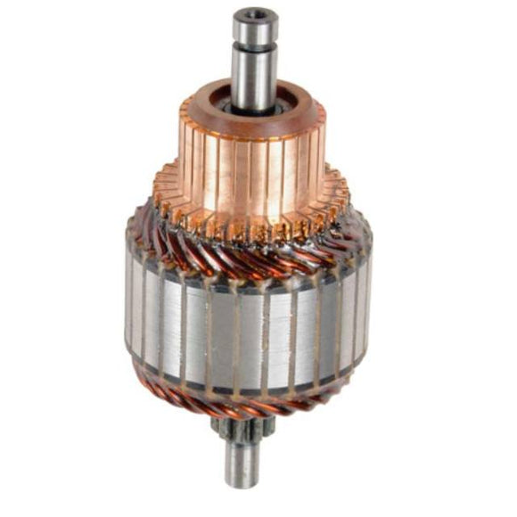 Starter Armature Replacing Bosch 1004011089 - 50203035