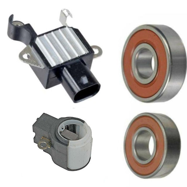 Kit De Reparación De Alternador 10DN Delco Cepillos Cojinetes 63-72
